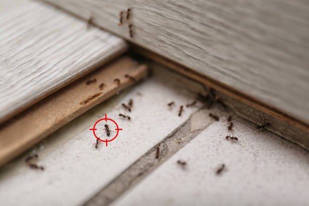 Best Pest Removal Services  in Richmond, IN