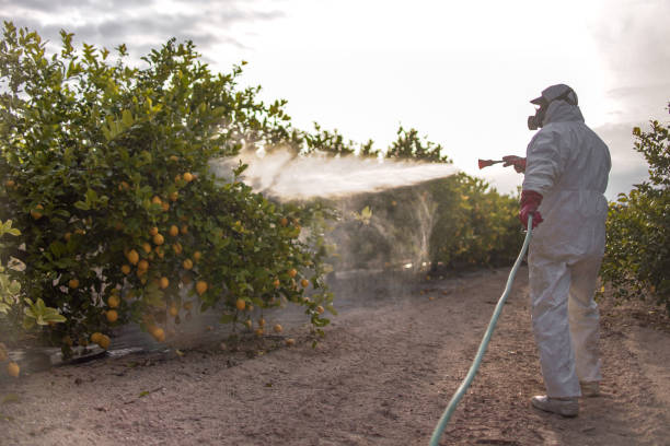 Best Affordable Pest Control Services  in Richmond, IN