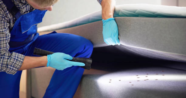 Best Flea Control Services  in Richmond, IN