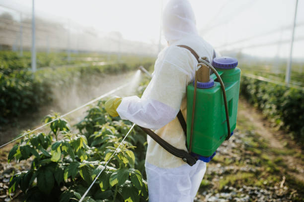 Best Commercial Pest Control Services  in Richmond, IN